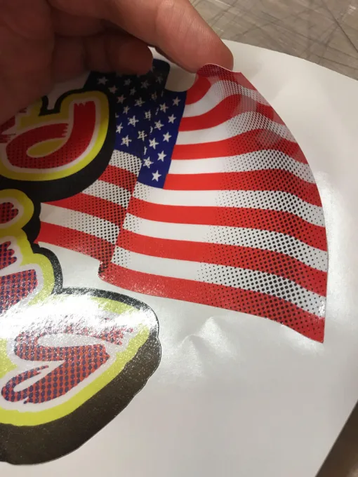 Alternative view of Daytona USA Seat Decal Road Burning Action